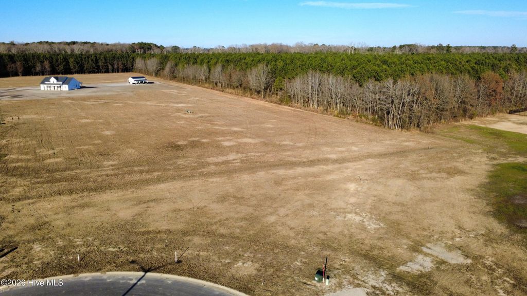 Photo of 2064 Harris Ridge Road, Winterville, NC 28590 (MLS # 100549259)