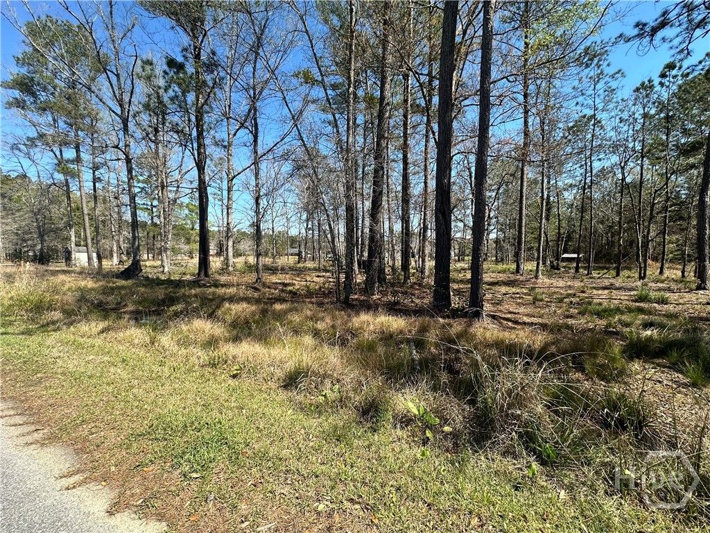 Photo of 102 Trail S, Midway, GA 31320 (MLS # SA352007)