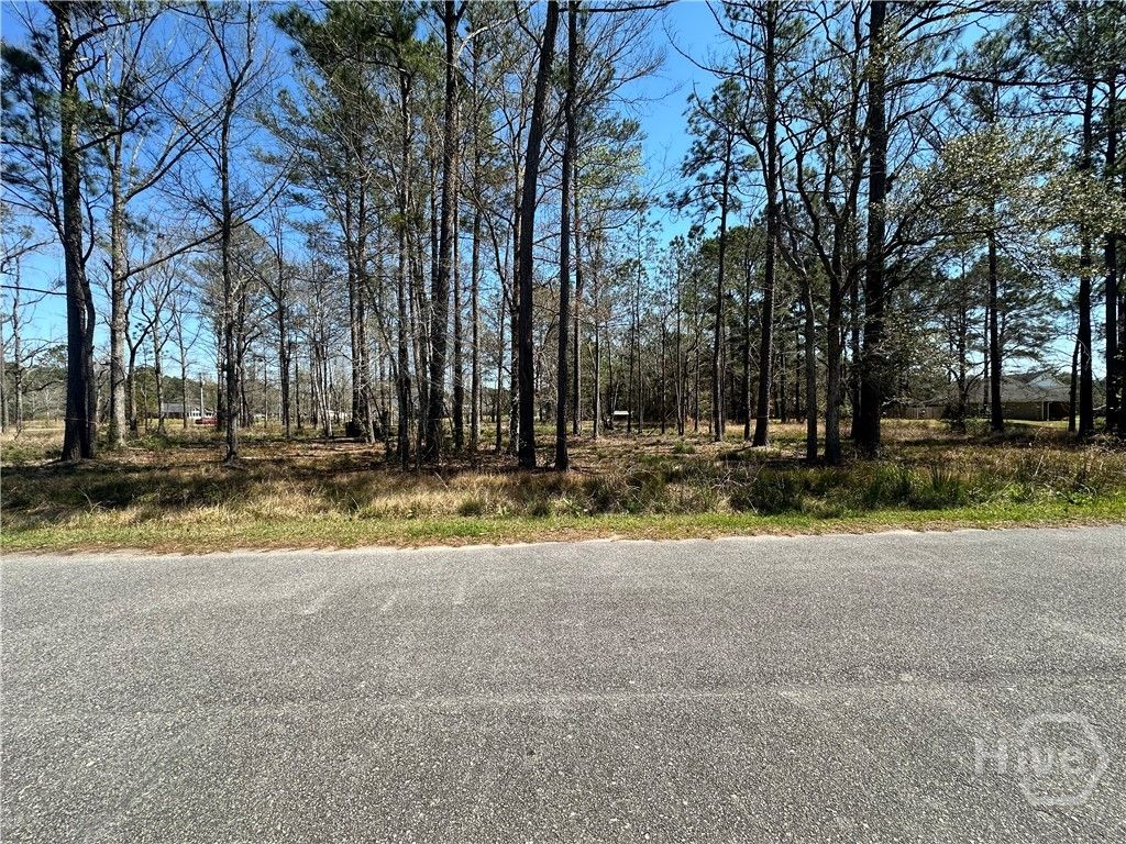 Photo of 102 Trail S, Midway, GA 31320 (MLS # SA352007)