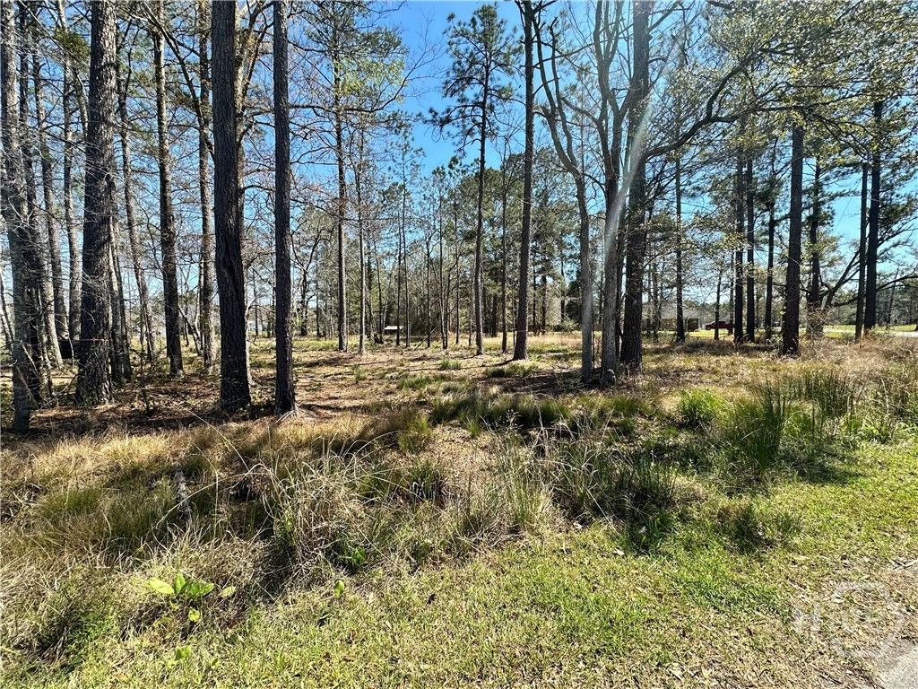 Photo of 102 Trail S, Midway, GA 31320 (MLS # SA352007)