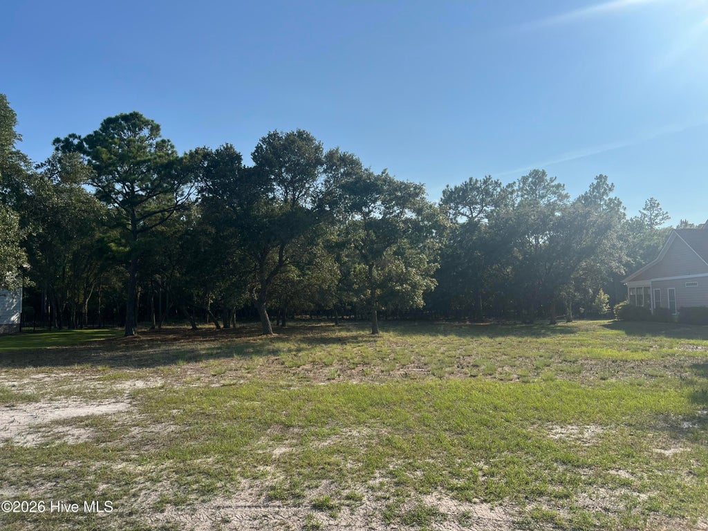 Photo of 2961 Lake Pointe Drive SW, Supply, NC 28462 (MLS # 100593127)