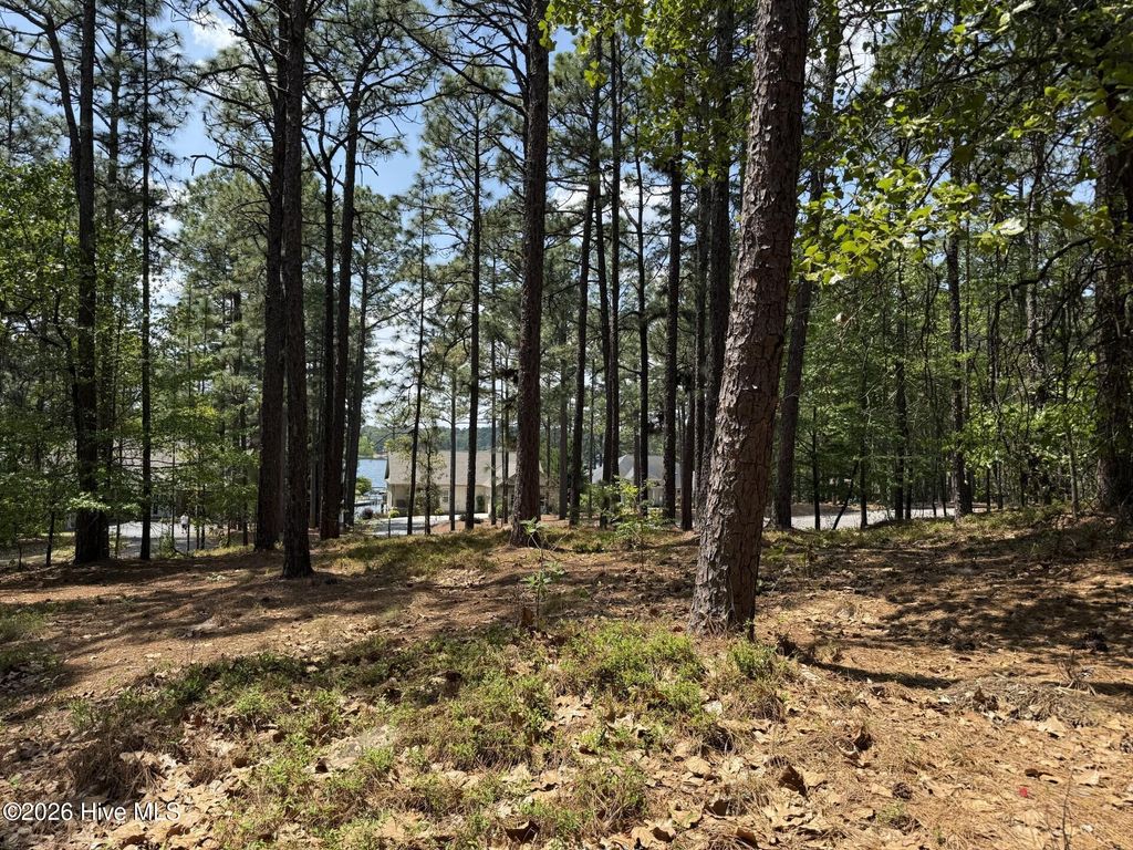 Photo of 107 Otter Drive, West End, NC 27376 (MLS # 100569414)
