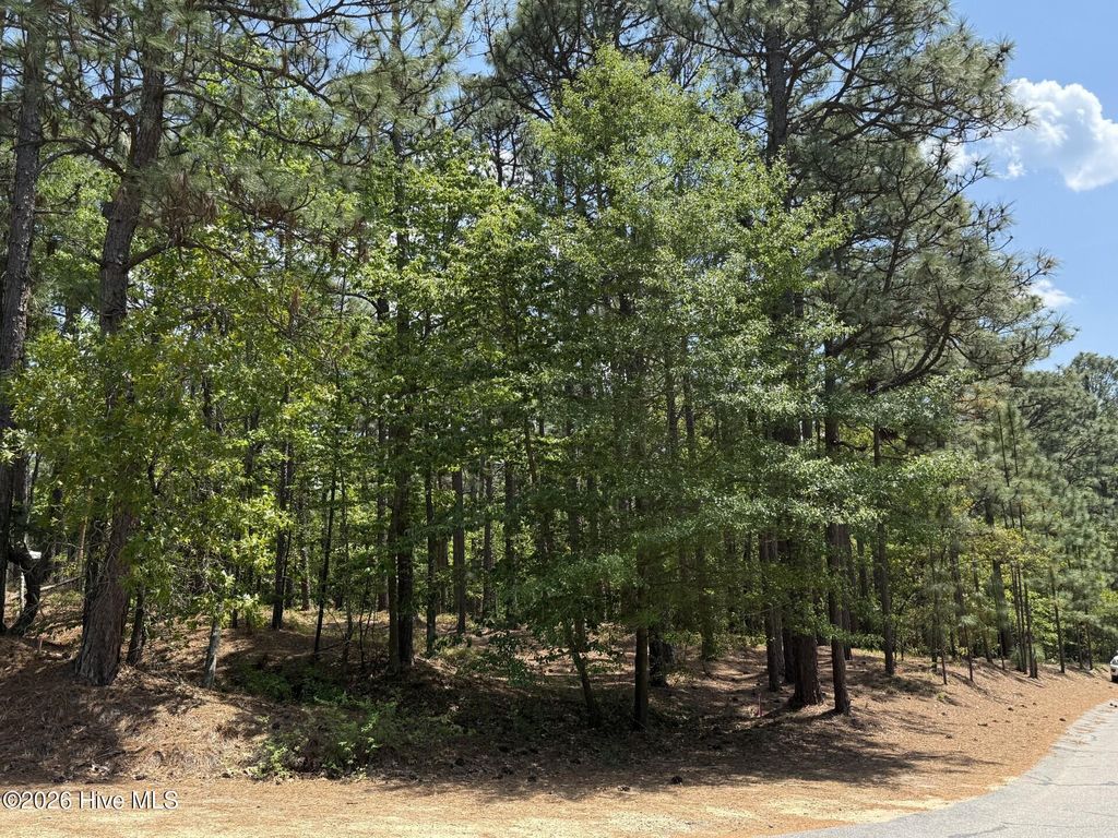 Photo of 107 Otter Drive, West End, NC 27376 (MLS # 100569414)