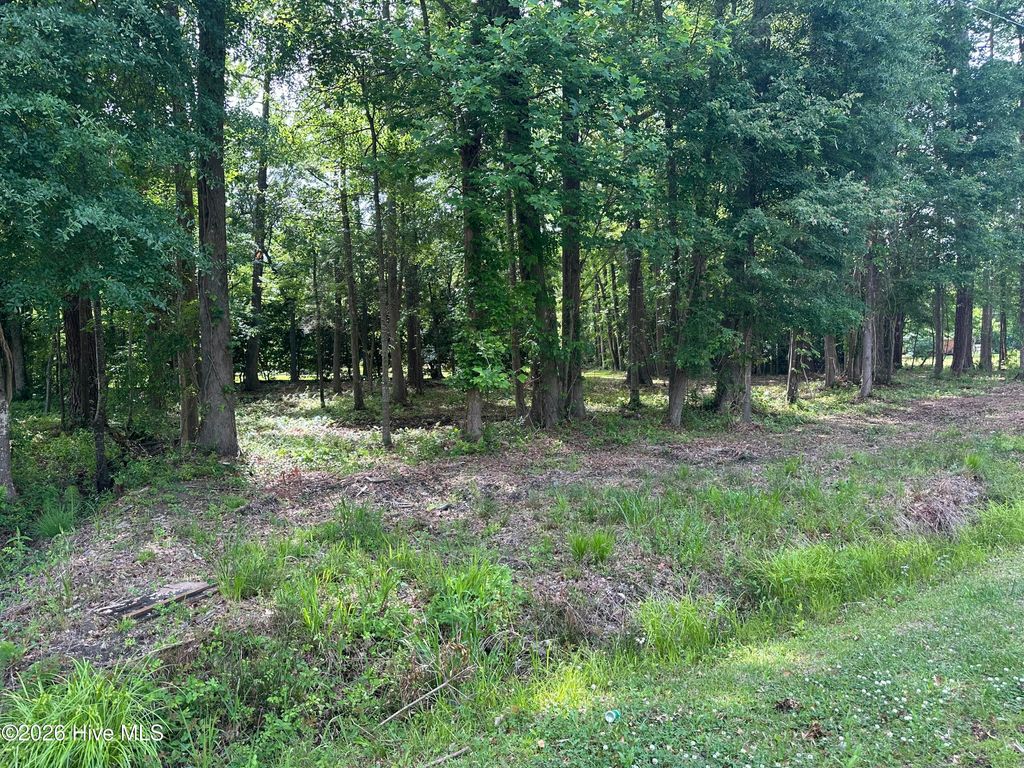 Photo of 628 Blue Jean Road, Whiteville, NC (MLS # 100572940)