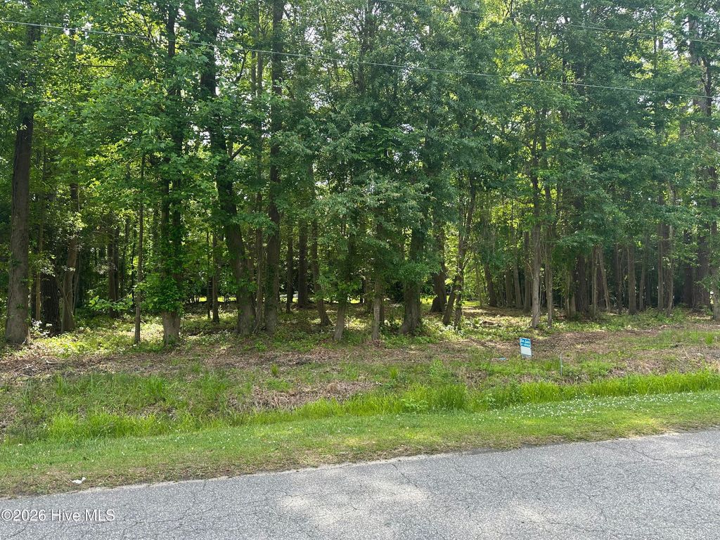 Photo of 628 Blue Jean Road, Whiteville, NC (MLS # 100572940)