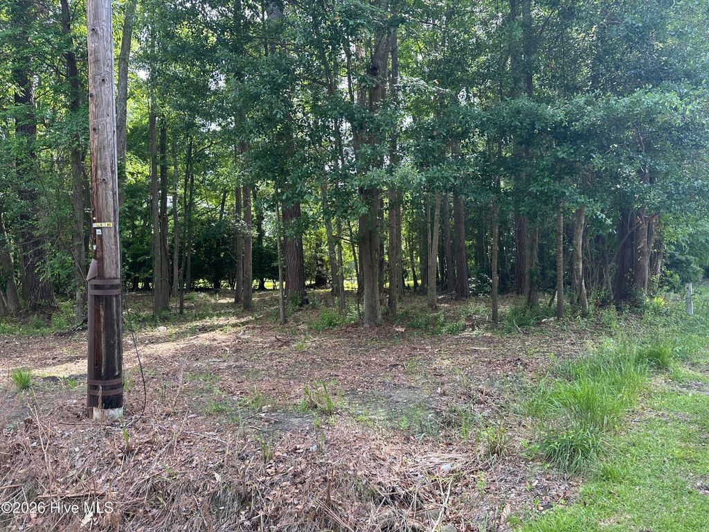 Photo of 628 Blue Jean Road, Whiteville, NC (MLS # 100572940)