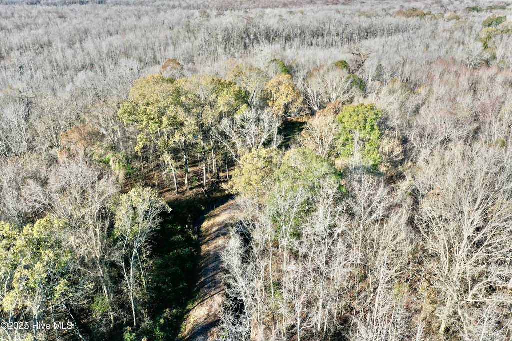 Photo of 0 Near 5727 Red Hill, Whiteville, NC 28472 (MLS # 100545170)