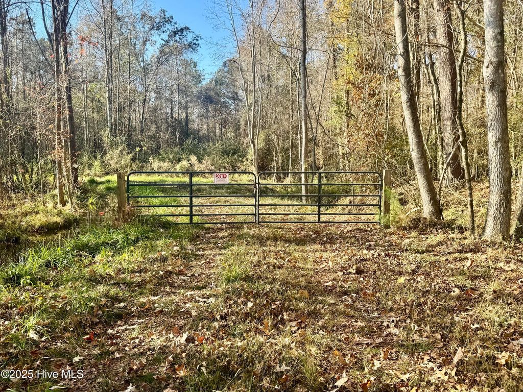 Photo of 0 Near 5727 Red Hill, Whiteville, NC 28472 (MLS # 100545170)