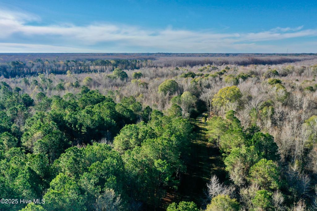 Photo of 0 Near 5727 Red Hill, Whiteville, NC 28472 (MLS # 100545170)