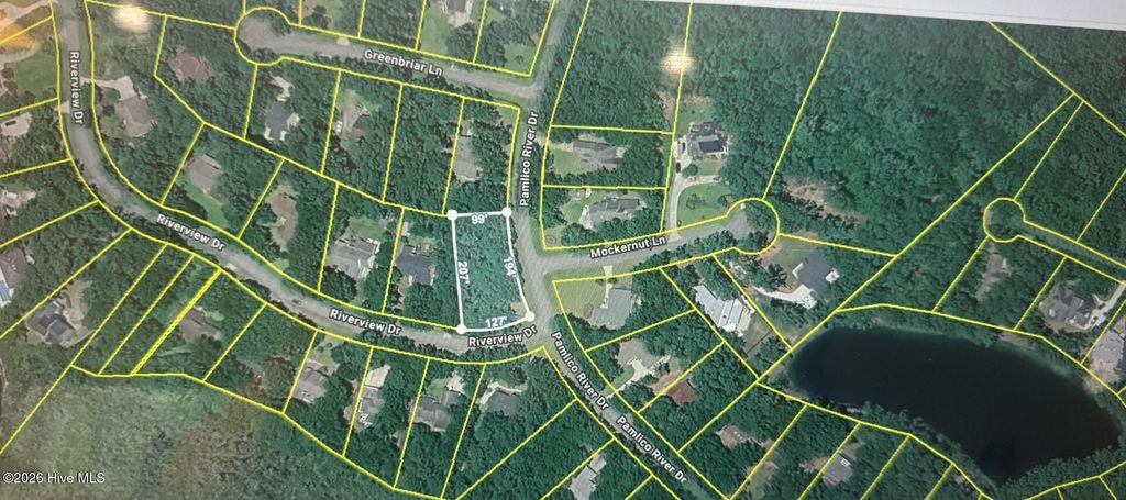 Photo of 411 Pamlico River Drive, Washington, NC 27889 (MLS # 100569795)