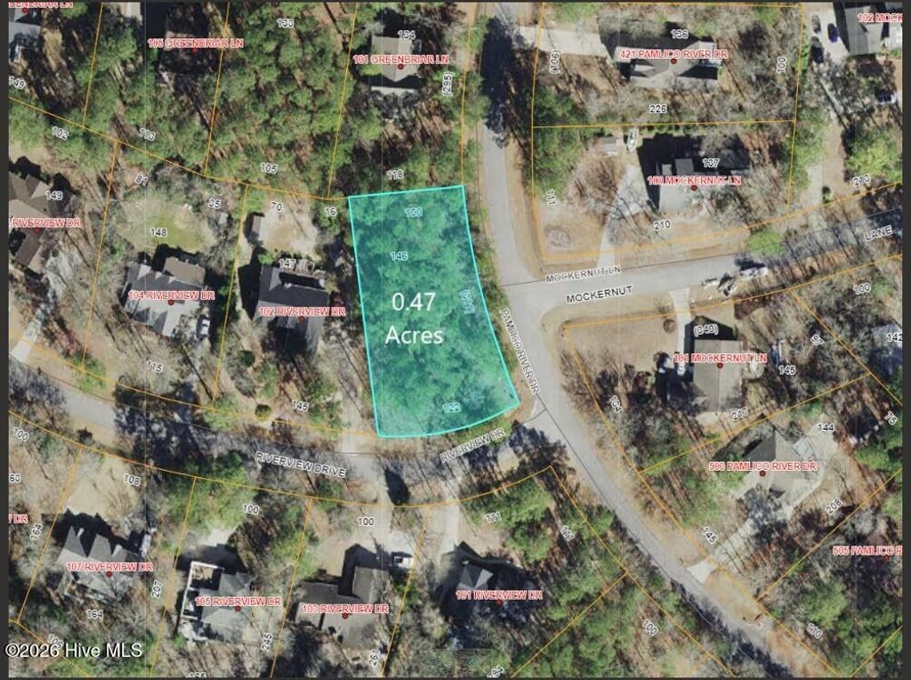 Photo of 411 Pamlico River Drive, Washington, NC 27889 (MLS # 100569795)