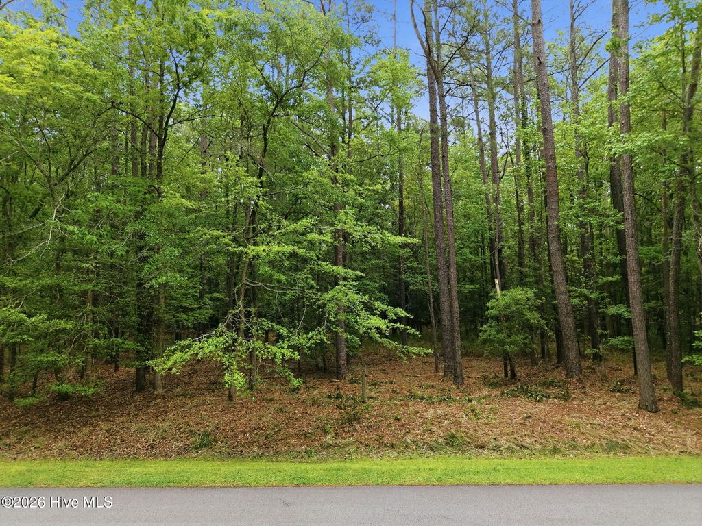 Photo of 411 Pamlico River Drive, Washington, NC 27889 (MLS # 100569795)
