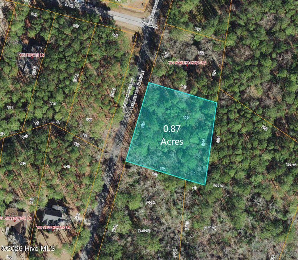 Photo of 411 Pamlico River Drive, Washington, NC 27889 (MLS # 100569795)