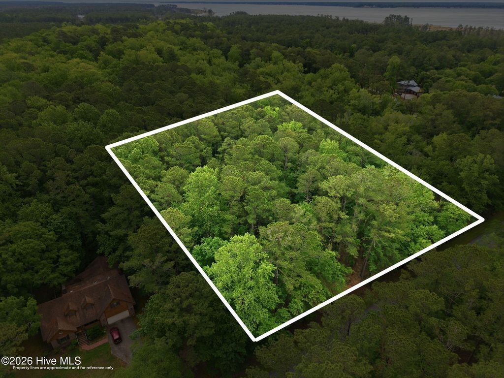 Photo of 411 Pamlico River Drive, Washington, NC 27889 (MLS # 100569795)