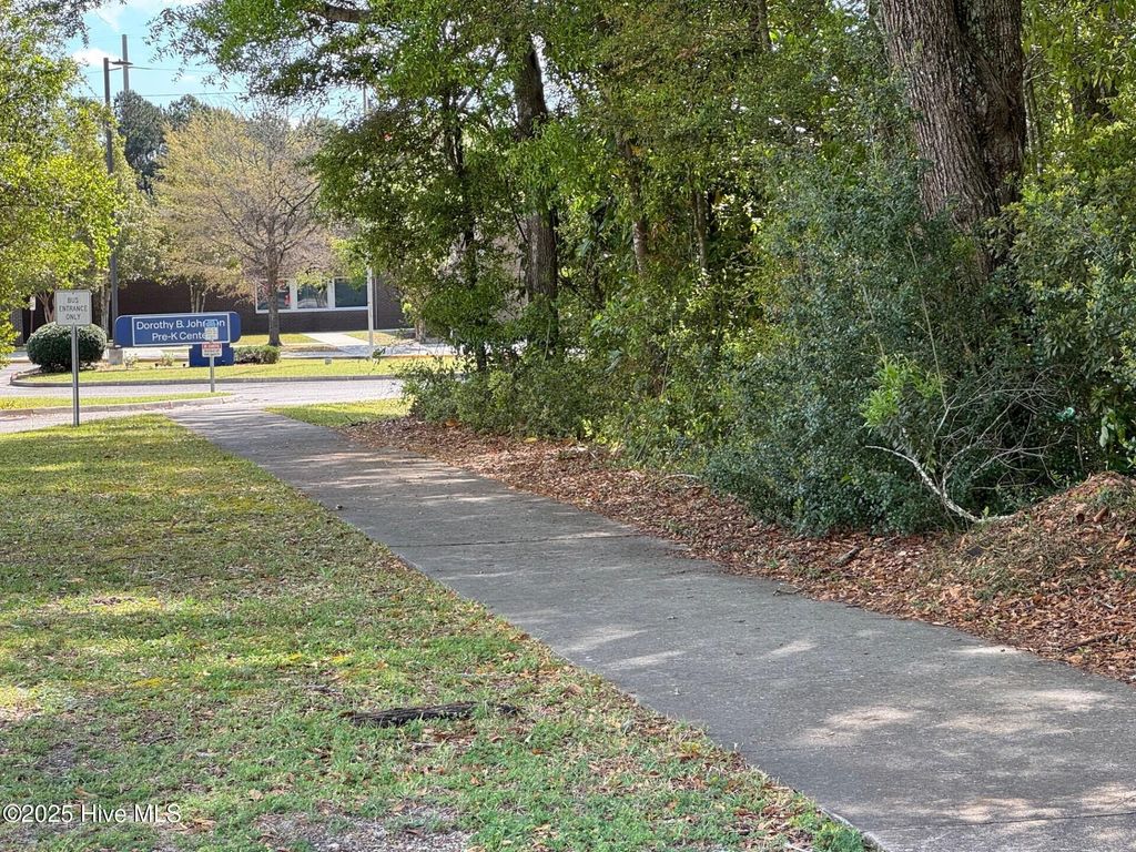 Photo of 1006 Mcrae Street, Wilmington, NC 28401 (MLS # 100500081)