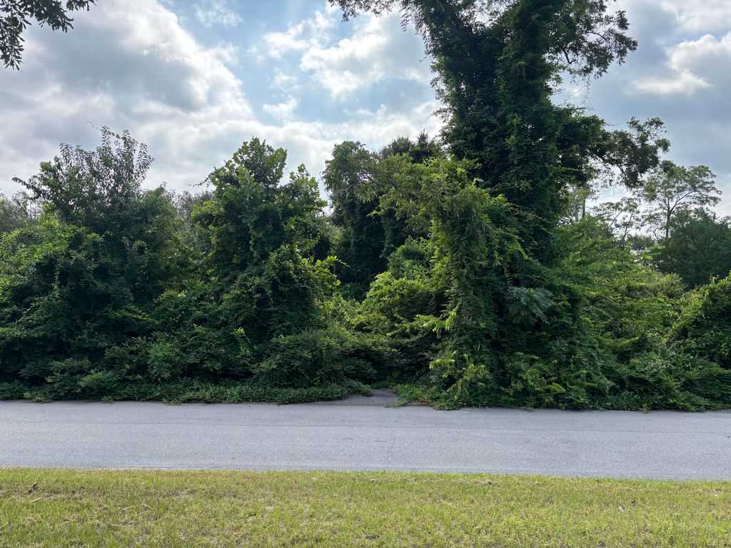 Photo of 414 Greenville Street, Aiken, SC 29801 (MLS # 546566)