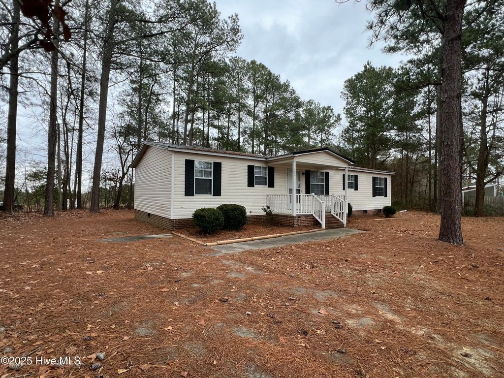 Photo of 175 Travis Drive, Cameron, NC 28326 (MLS # 100546921)