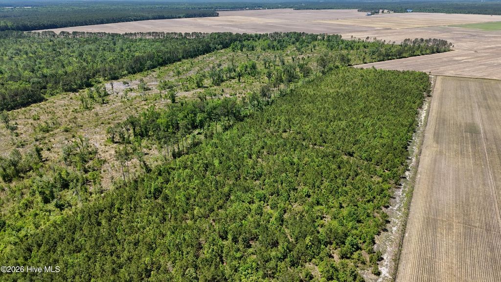 Photo of 0 Indian Hill Road, Willard, NC 28478 (MLS # 100571312)