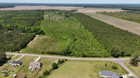 Photo of 0 Indian Hill Road, Willard, NC 28478 (MLS # 100571312)