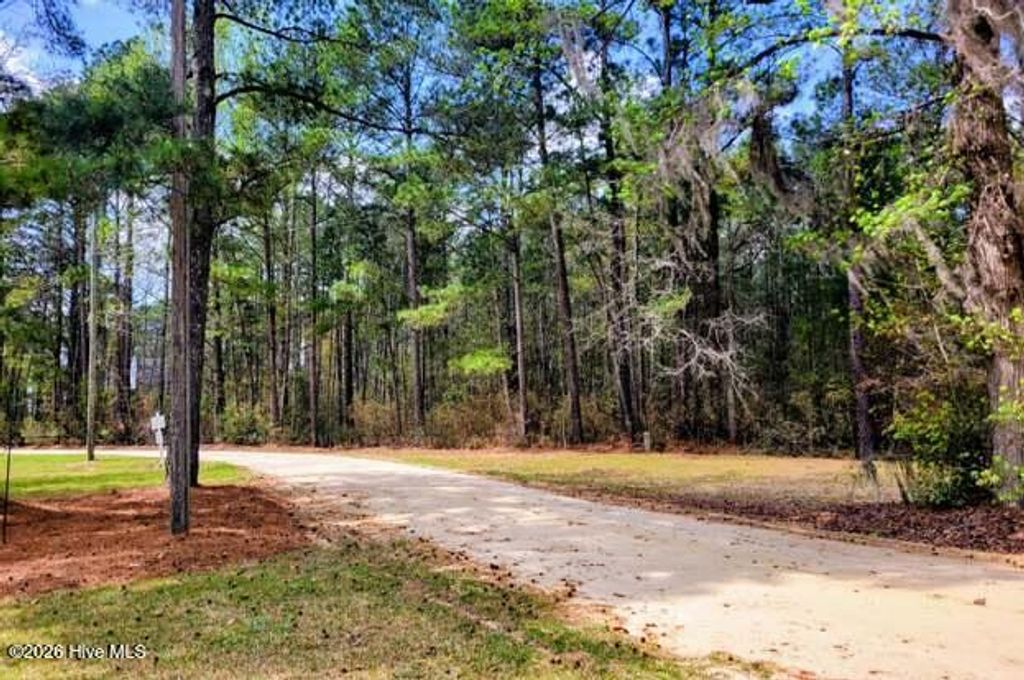 Photo of 0 Indian Hill Road, Willard, NC 28478 (MLS # 100571312)