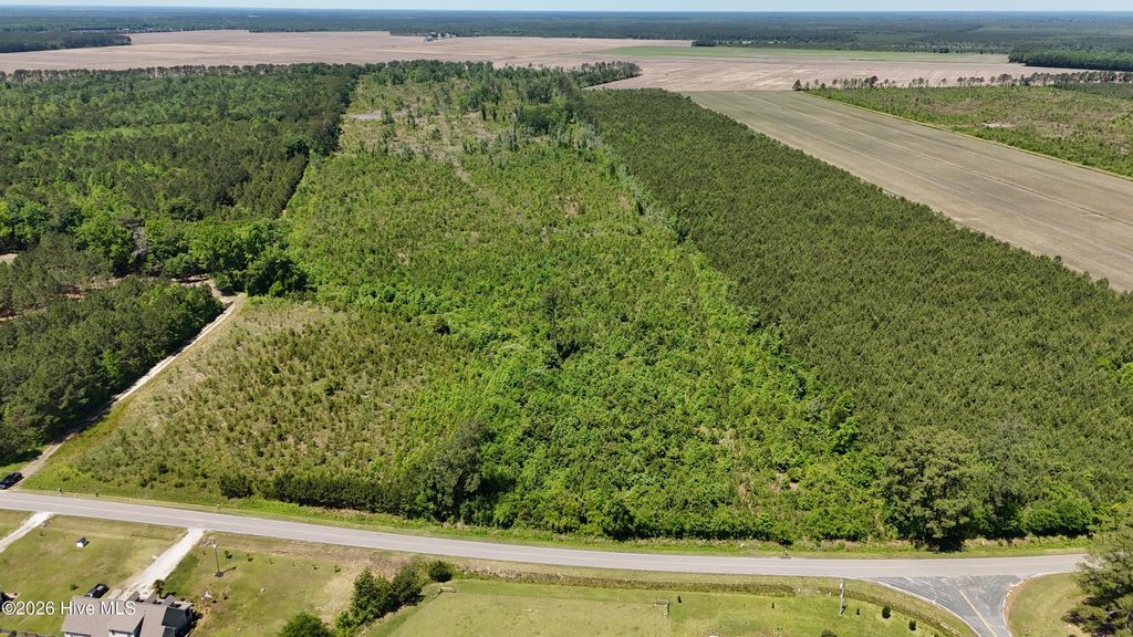 Photo of 0 Indian Hill Road, Willard, NC 28478 (MLS # 100571312)