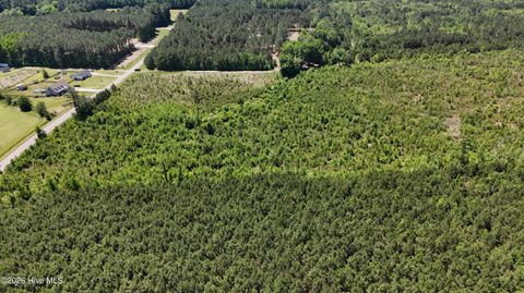 Tiny photo for 0 Indian Hill Road, Willard, NC 28478 (MLS # 100571312)