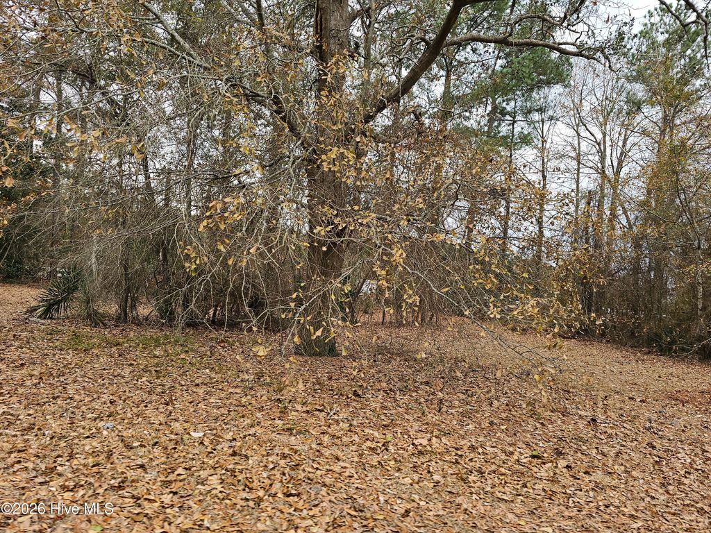 Photo of 1400 Fox Run Lane, Edenton, NC 27932 (MLS # 100550786)