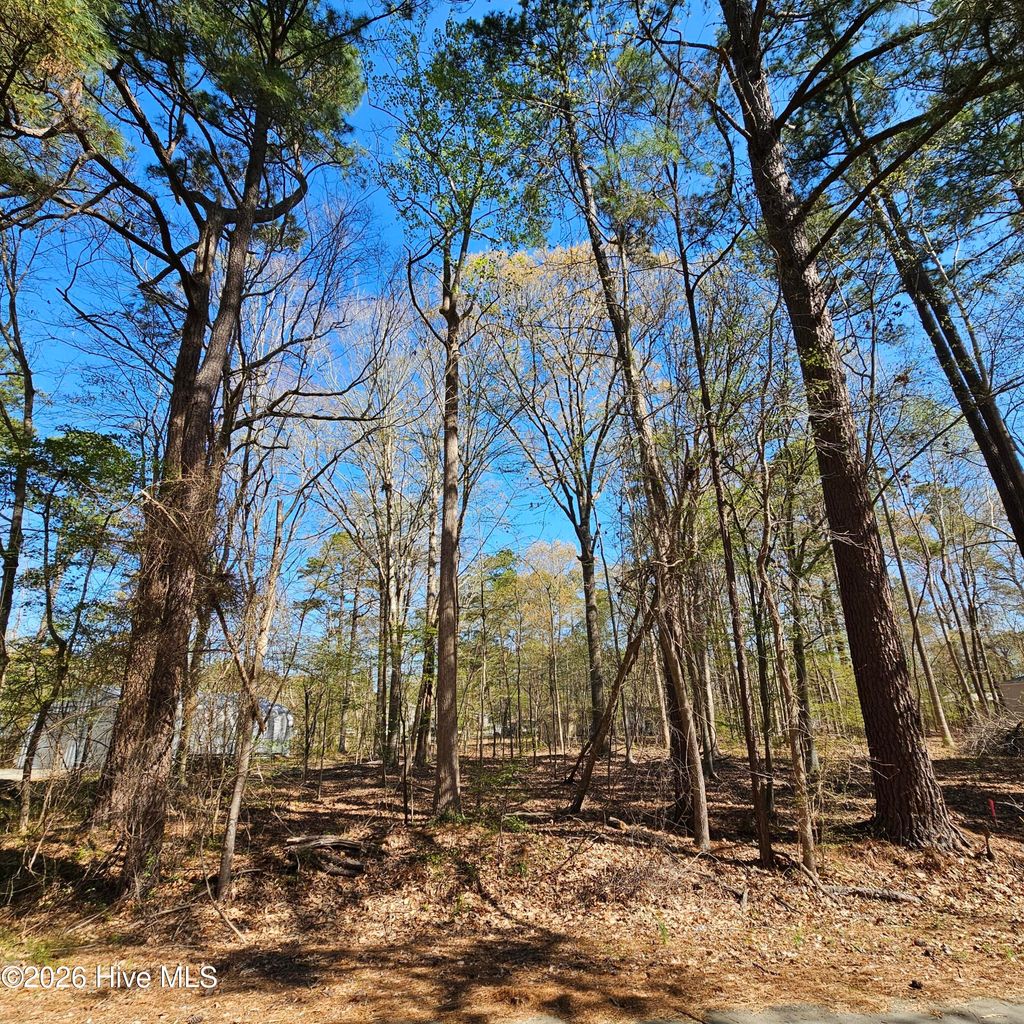 Photo of 77 Pirate Cove Way, Hertford, NC 27944 (MLS # 100563315)