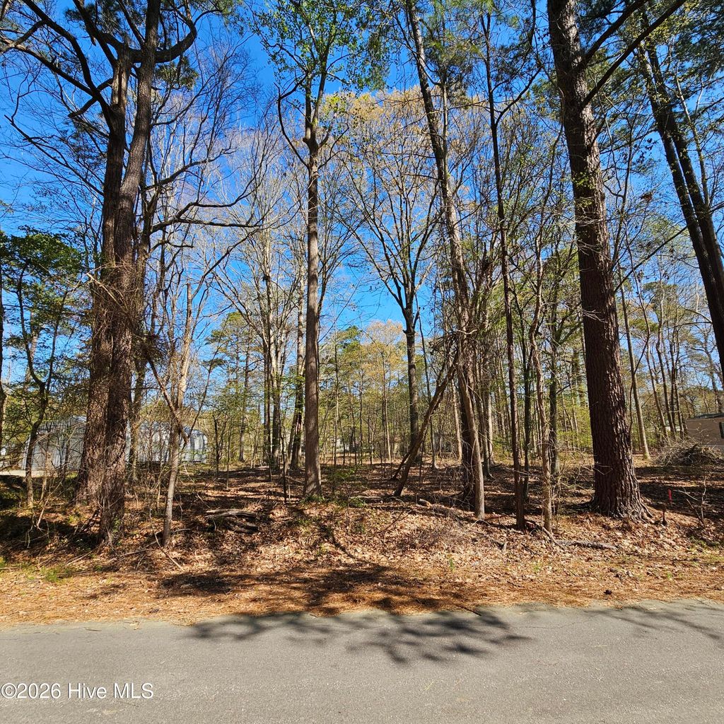 Photo of 77 Pirate Cove Way, Hertford, NC 27944 (MLS # 100563315)