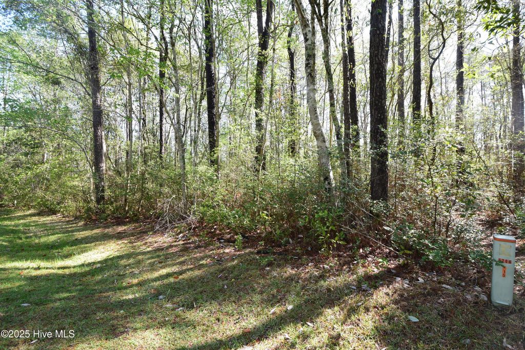 Photo of 902 River Reach Court, New Bern, NC 28560 (MLS # 100535187)