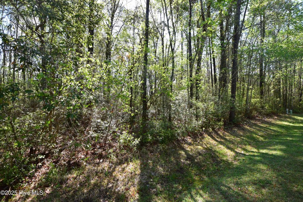 Photo of 902 River Reach Court, New Bern, NC 28560 (MLS # 100535187)