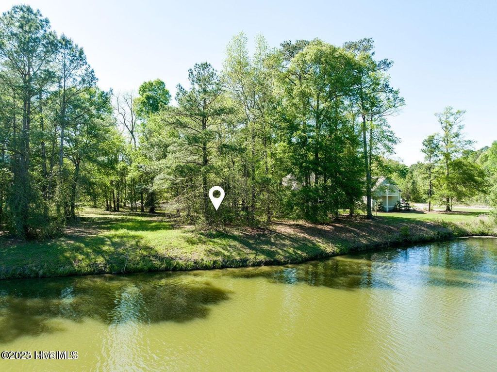 Photo of 191 Sycamore Forest Drive, Wallace, NC 28466 (MLS # 100517904)