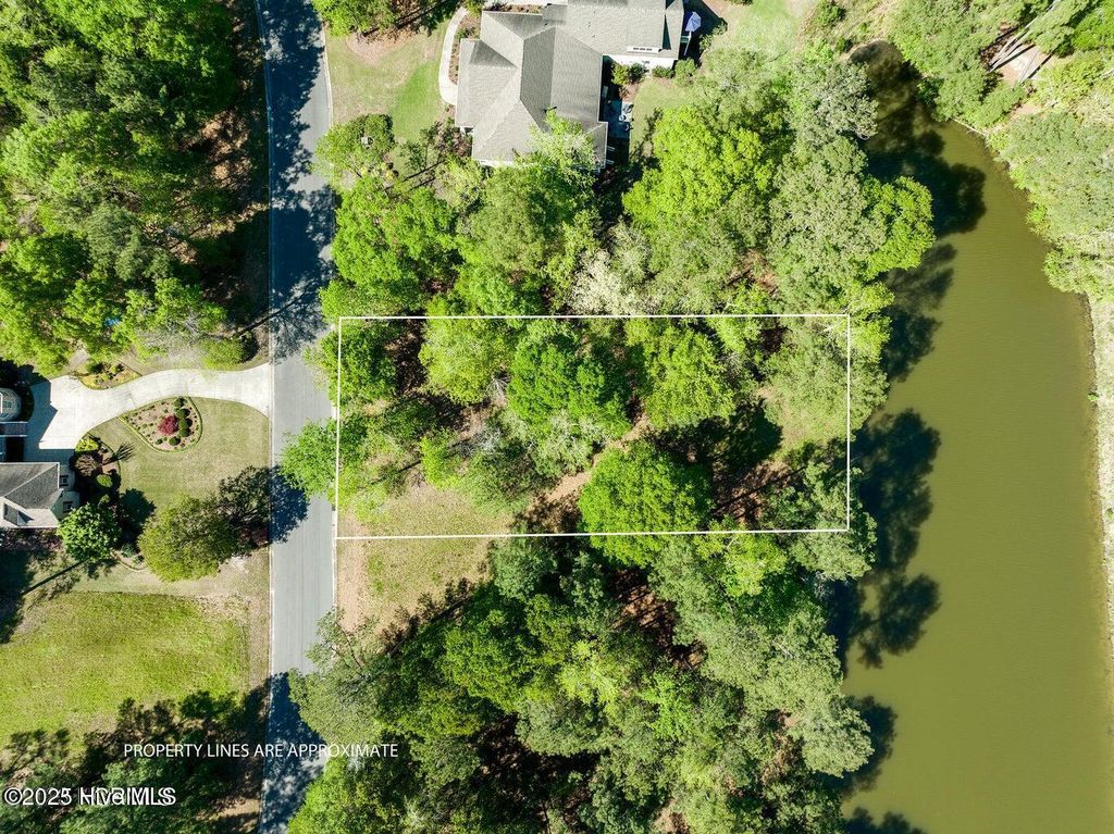 Photo of 191 Sycamore Forest Drive, Wallace, NC 28466 (MLS # 100517904)