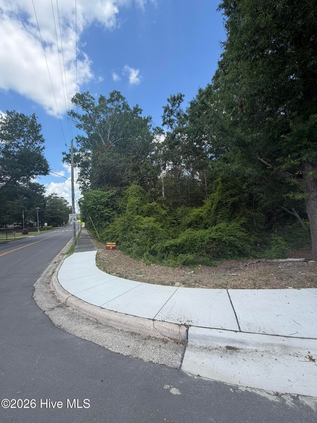 Photo of Tbd Us-220 RD, Ellerbe, NC 28338 (MLS # 100585770)