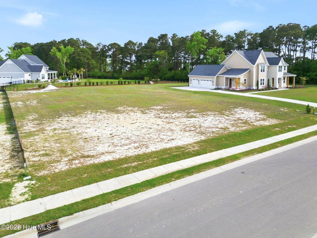 Photo of 38 Dragonfly Lane, Hampstead, NC 28443 (MLS # 100567627)