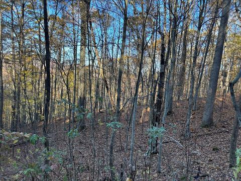 Vacant Land For Sale - LOT#39 Falcon Stone Ridge<br/> Topton, NC 28781