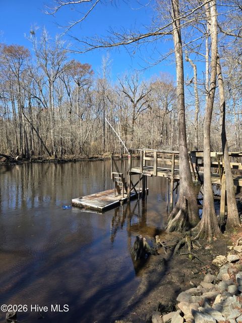 Tiny photo for 203 Estate Road, Atkinson, NC 28421 (MLS # 100556135)