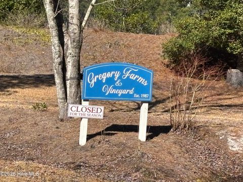 Tiny photo for 203 Estate Road, Atkinson, NC 28421 (MLS # 100556135)