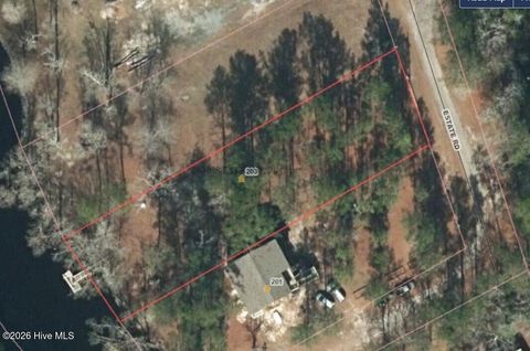 Tiny photo for 203 Estate Road, Atkinson, NC 28421 (MLS # 100556135)