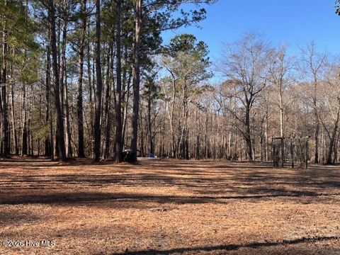 Tiny photo for 203 Estate Road, Atkinson, NC 28421 (MLS # 100556135)