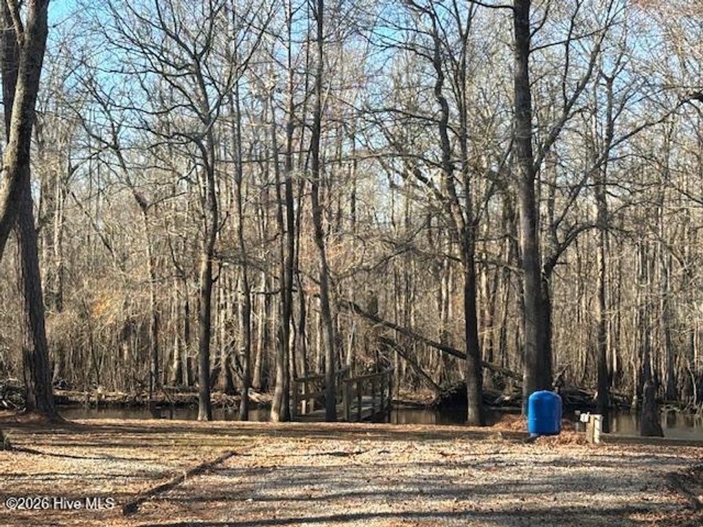 Photo of 203 Estate Road, Atkinson, NC 28421 (MLS # 100556135)