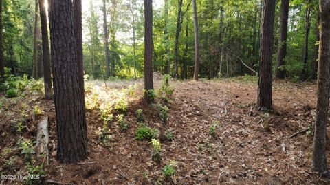 Tiny photo for 110 Rustic Court, Hampstead, NC 28443 (MLS # 100568158)