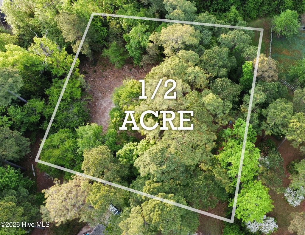 Photo of 110 Rustic Court, Hampstead, NC 28443 (MLS # 100568158)