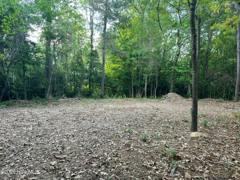 Tiny photo for 110 Rustic Court, Hampstead, NC 28443 (MLS # 100568158)