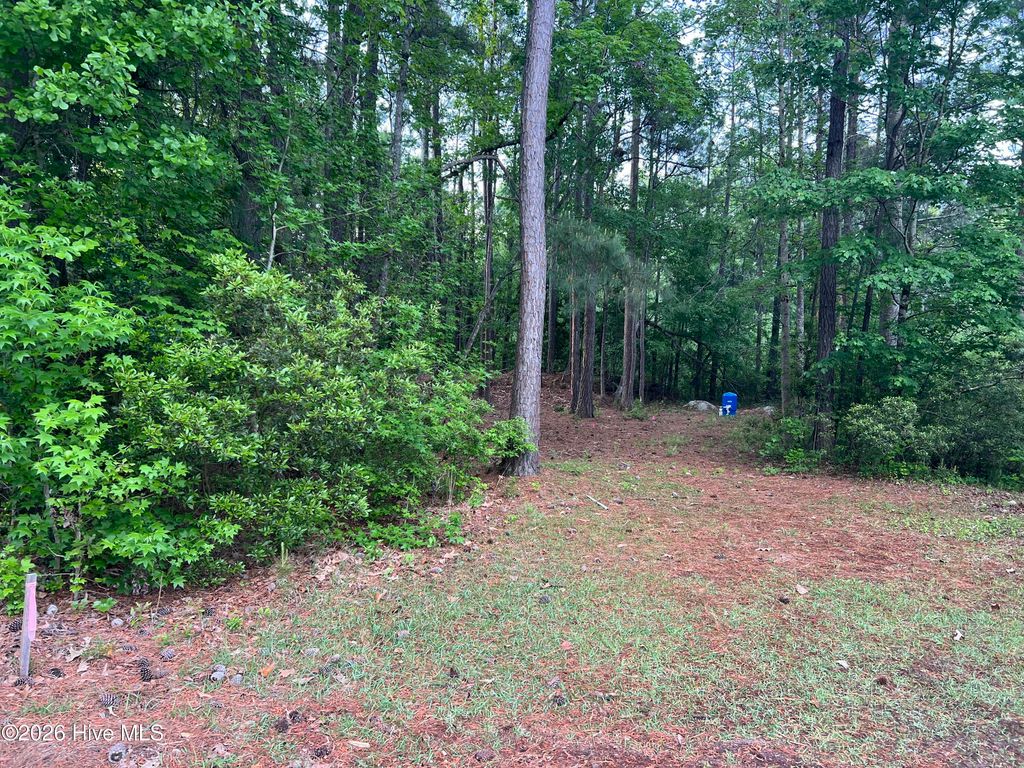 Photo of 110 Rustic Court, Hampstead, NC 28443 (MLS # 100568158)