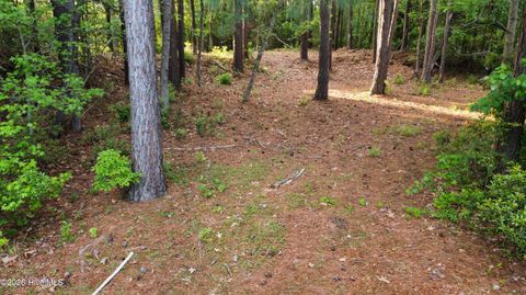 Tiny photo for 110 Rustic Court, Hampstead, NC 28443 (MLS # 100568158)