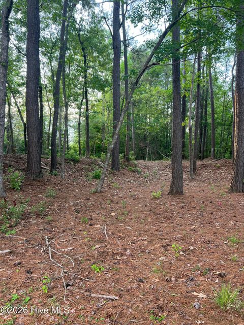 Tiny photo for 110 Rustic Court, Hampstead, NC 28443 (MLS # 100568158)