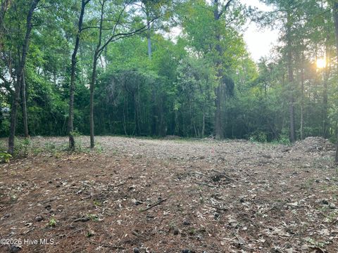 Tiny photo for 110 Rustic Court, Hampstead, NC 28443 (MLS # 100568158)