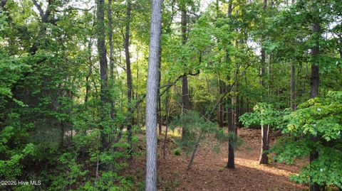 Tiny photo for 110 Rustic Court, Hampstead, NC 28443 (MLS # 100568158)