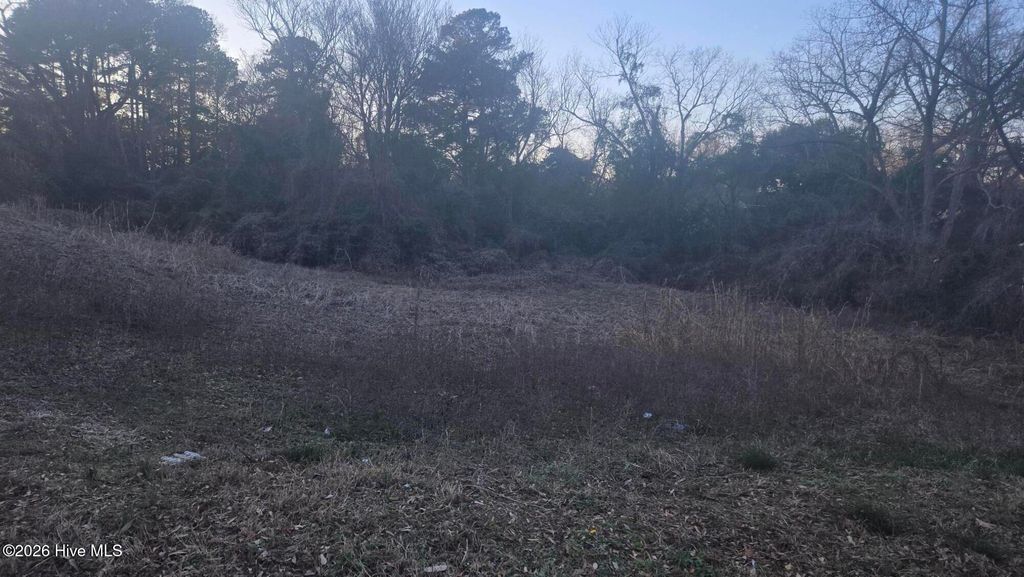 Photo of 504 4th Street, Laurinburg, NC 28352 (MLS # 100552880)